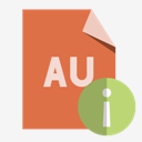 file,format,au,info