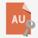 file,format,au,key