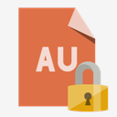 file,format,au,lock