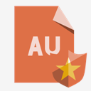 file,format,au,shield