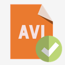 file,format,avi,checkmark