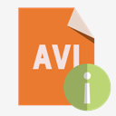 file,format,avi,info