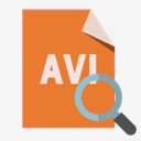 file,format,avi,zoom