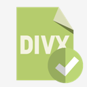 file,format,divx,checkmark
