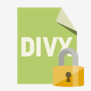 file,format,divx,lock