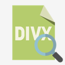 file,format,divx,zoom