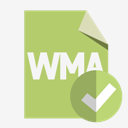 file,format,wma,checkmark