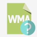 file,format,wma,help