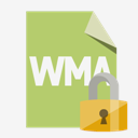 file,format,wma,lock