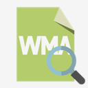 file,format,wma,zoom