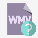 file,format,wmv,help