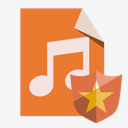 file,type,audio,shield