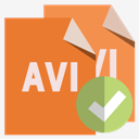 files,format,avi,checkmark