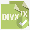 files,format,divx,checkmark