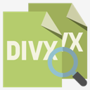 files,format,divx,zoom