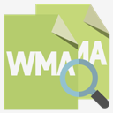 files,format,wma,zoom