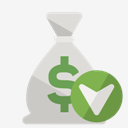 money,bag,down