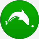 Dolphin,2,flat,circle