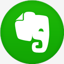 Evernote,flat,circle