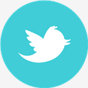 Twitter,Old,Round