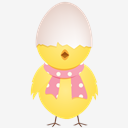 chicken,egg,shell,top