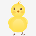 new,born,chicken
