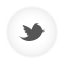 Twitter,white,round