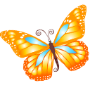 butterfly,orange