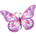 butterfly,purple