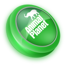 Animal,Planet