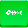 fish,skeleton