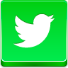 twitter,bird
