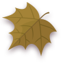 Autom,Leaf