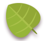 Green,Leaf
