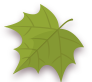 Palmately,Leaf