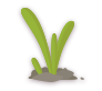 Spring,Plants