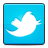 bird,social,twitter