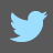twitter,grey