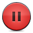 button,pause,red