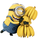 despicable,me,Minion,cartoon