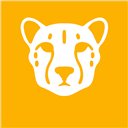 Cheetah,3D