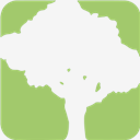 SpeedTree
