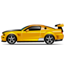 car,muscle