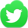 twitter,bird