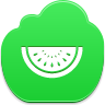 watermelon,piece