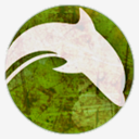 dolphin
