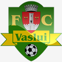 Vaslui,Logo