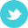 twitter,old