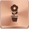pot,flower