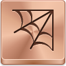 spider,web
